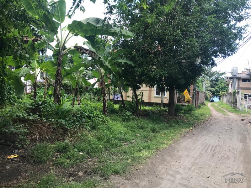 Residential Lot for sale in Dumaguete - image 11