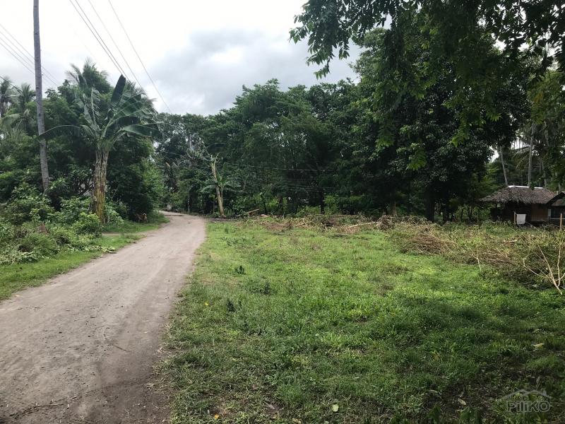 Picture of Residential Lot for sale in Dumaguete