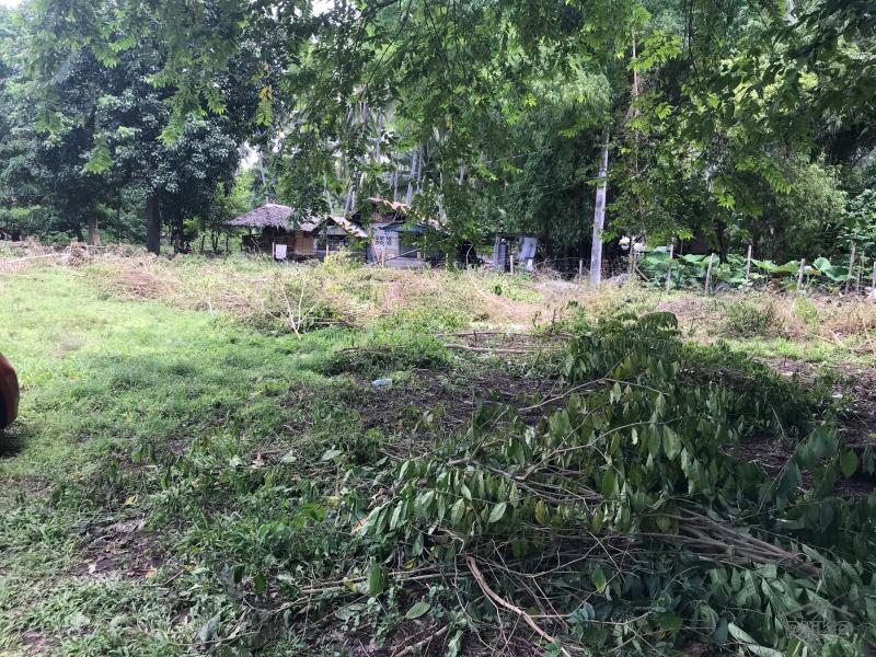 Residential Lot for sale in Dumaguete