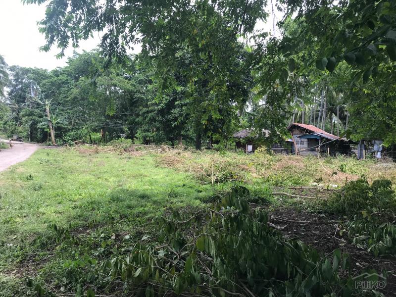 Residential Lot for sale in Dumaguete in Negros Oriental