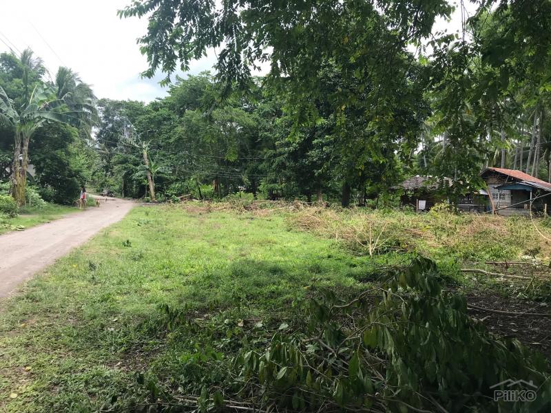 Residential Lot for sale in Dumaguete in Philippines