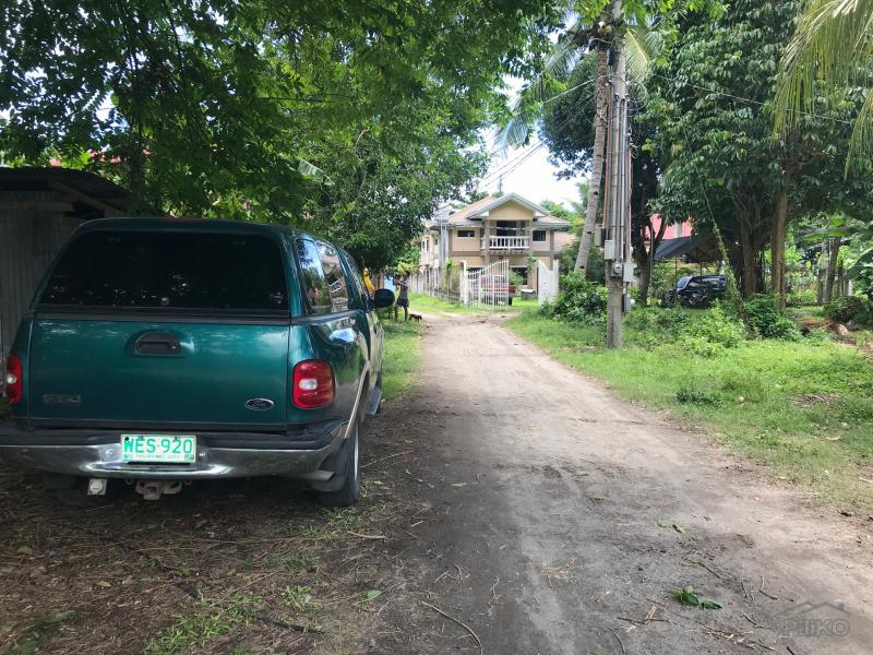 Picture of Residential Lot for sale in Dumaguete in Negros Oriental