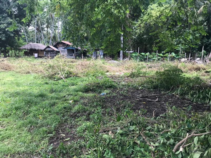 Picture of Residential Lot for sale in Dumaguete in Philippines