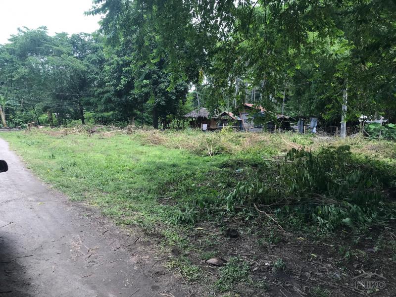 Residential Lot for sale in Dumaguete - image 9
