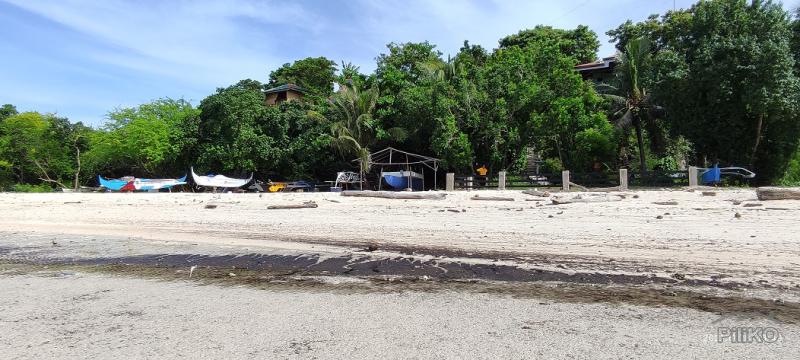 Picture of Commercial Lot for sale in Larena in Siquijor