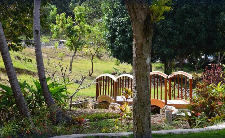 Resort Property for sale in Enrique Villanueva - image 16