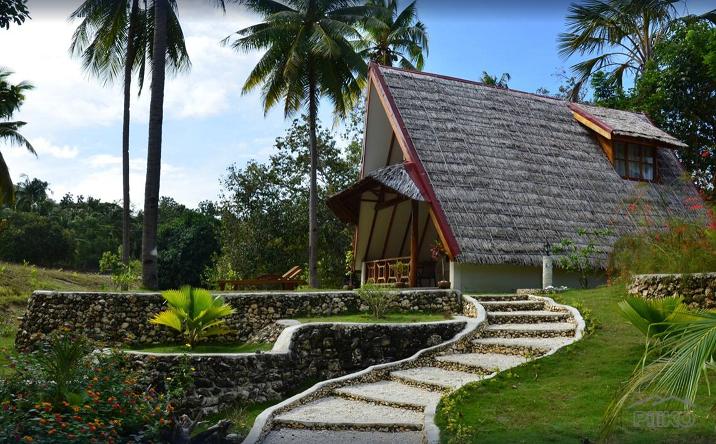 Resort Property for sale in Enrique Villanueva in Siquijor - image