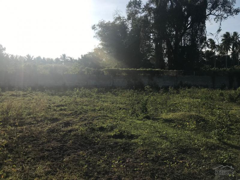 Residential Lot for sale in Bacong - image 10