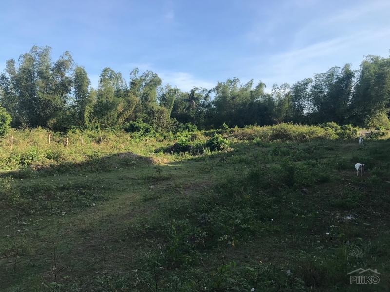 Residential Lot for sale in Bacong - image 12