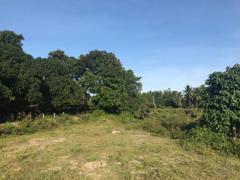 Picture of Residential Lot for sale in Bacong