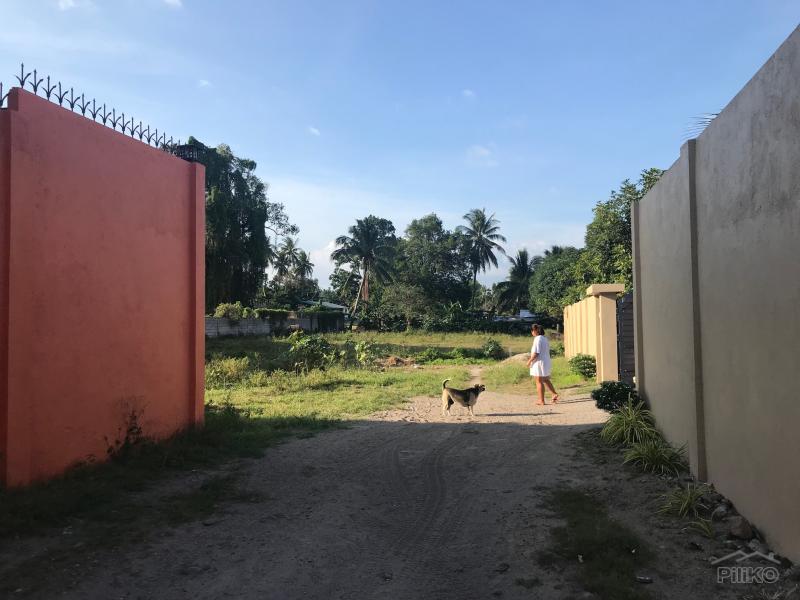 Picture of Residential Lot for sale in Bacong in Negros Oriental