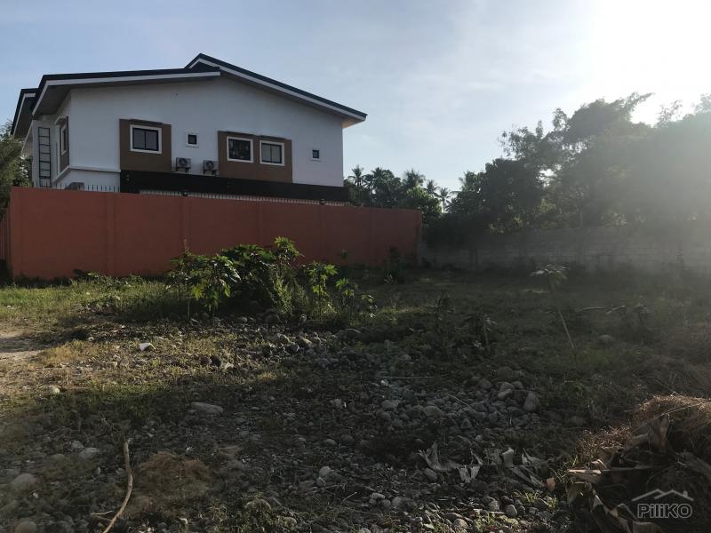 Residential Lot for sale in Bacong in Philippines - image