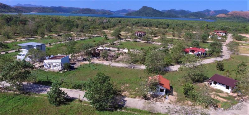 Picture of Residential Lot for sale in Coron