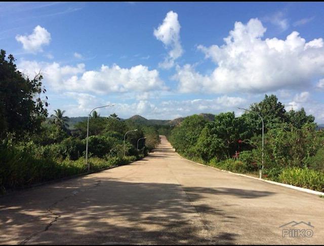 Picture of Residential Lot for sale in Coron in Palawan