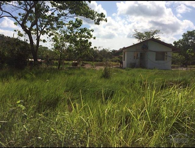 Residential Lot for sale in Coron - image 6