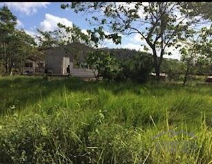 Residential Lot for sale in Coron in Palawan - image