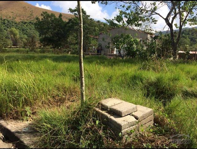 Residential Lot for sale in Coron in Philippines - image