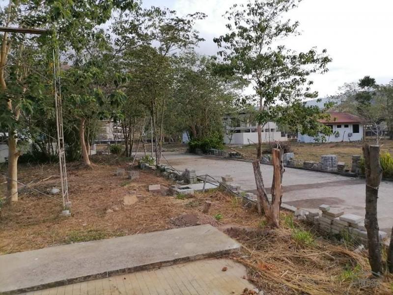 Residential Lot for sale in Coron - image 11