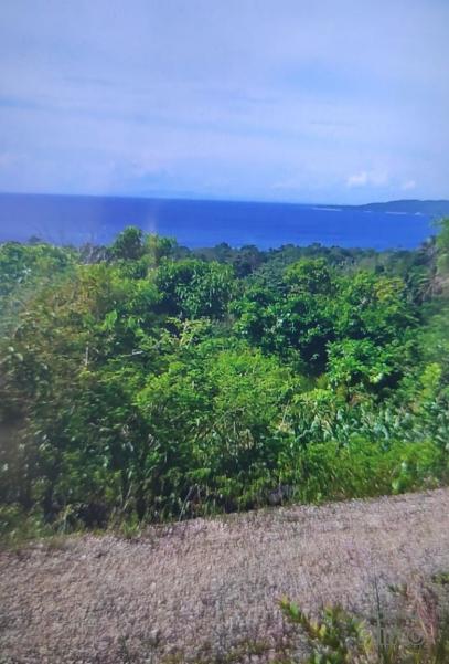 Picture of Residential Lot for sale in Siquijor
