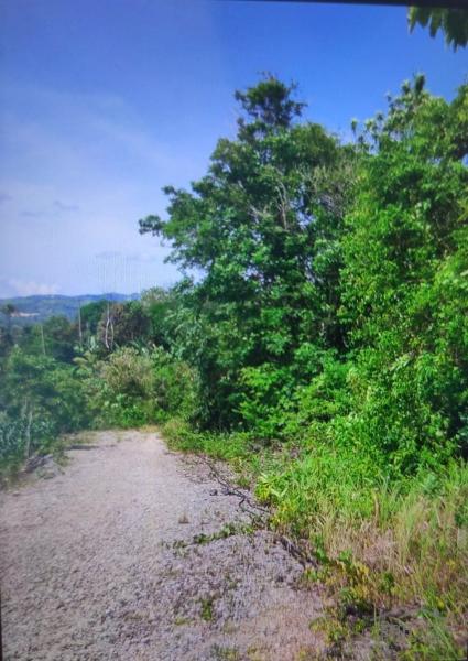 Residential Lot for sale in Siquijor in Siquijor