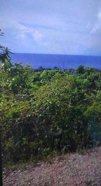 Residential Lot for sale in Siquijor in Philippines