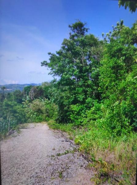 Residential Lot for sale in Siquijor - image 5