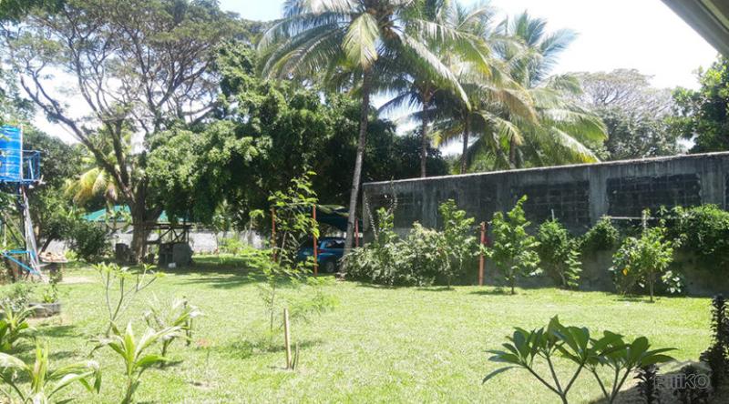 4 bedroom House and Lot for sale in Siaton in Negros Oriental - image