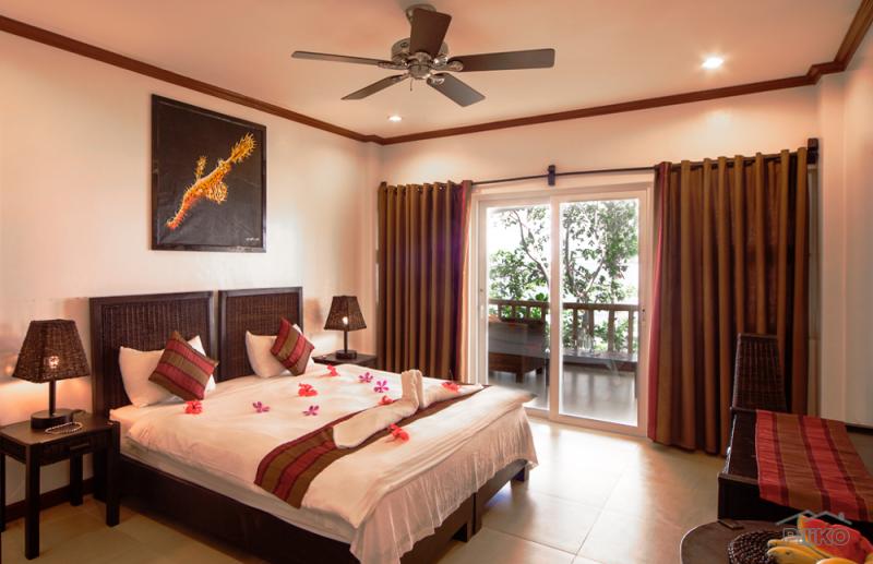 Resort Property for sale in Other Cities in Bohol - image