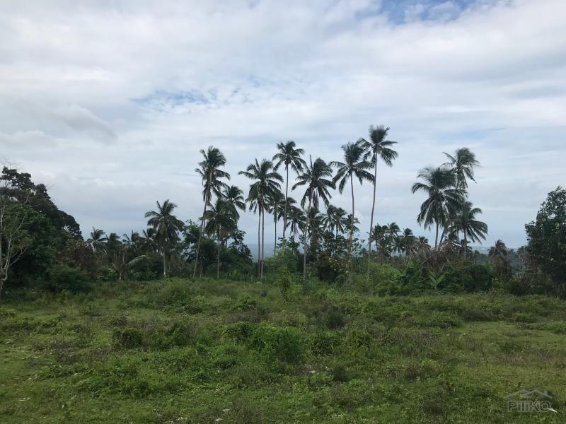 Residential Lot for sale in Valencia in Philippines