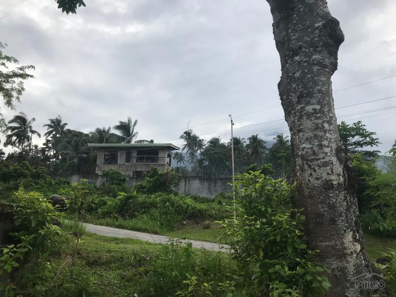 Picture of Residential Lot for sale in Valencia in Negros Oriental