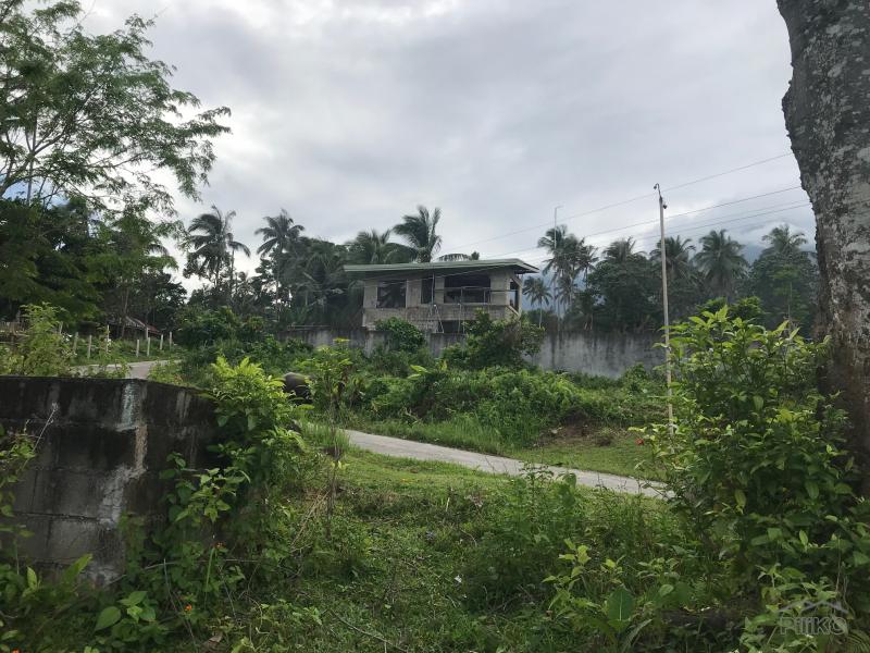 Picture of Residential Lot for sale in Valencia in Philippines