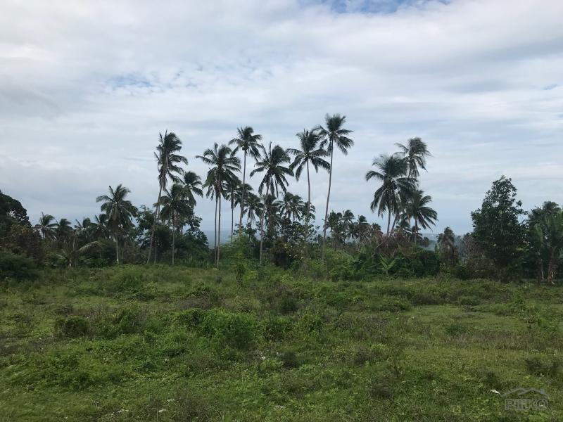 Residential Lot for sale in Valencia in Negros Oriental - image
