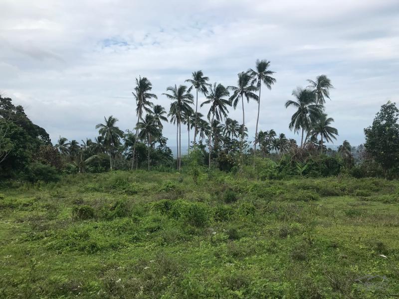 Residential Lot for sale in Valencia in Philippines - image