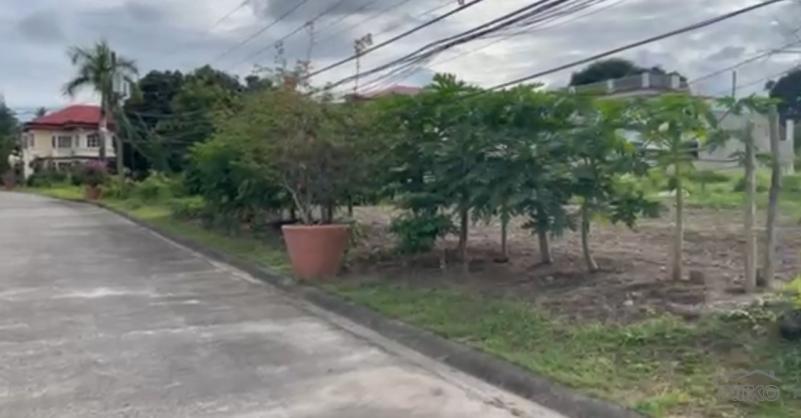 Picture of Residential Lot for sale in Dumaguete in Negros Oriental