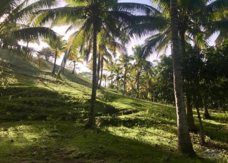 Residential Lot for sale in Manukan
