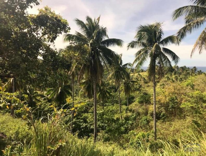 Residential Lot for sale in Manukan in Zamboanga del Norte