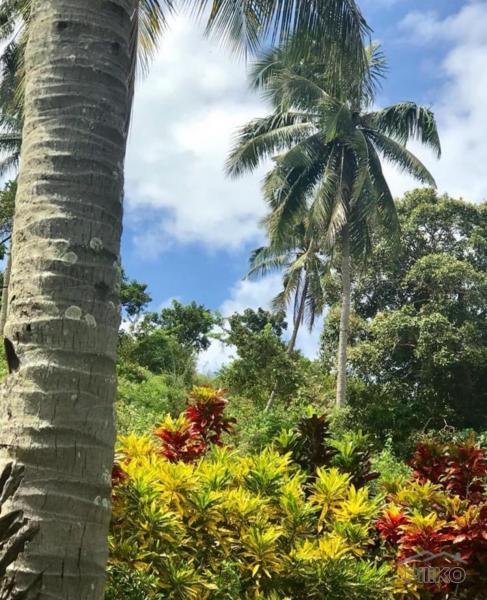 Residential Lot for sale in Manukan in Philippines