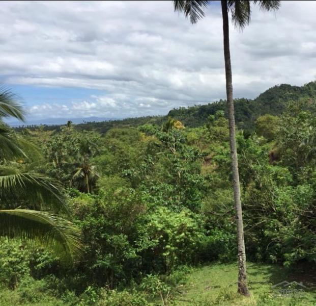 Residential Lot for sale in Manukan - image 5