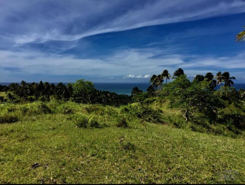 Picture of Residential Lot for sale in Manukan in Philippines