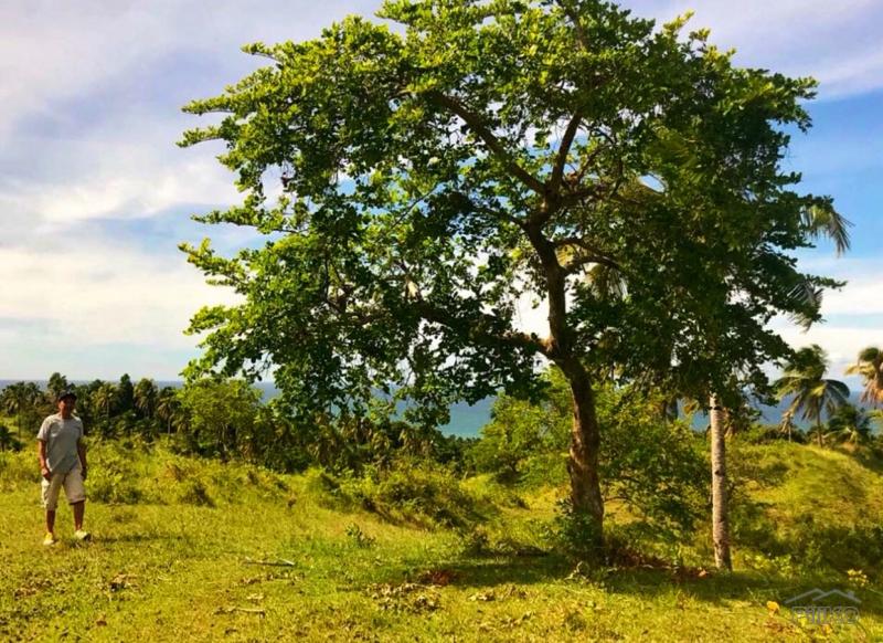 Residential Lot for sale in Manukan in Philippines - image