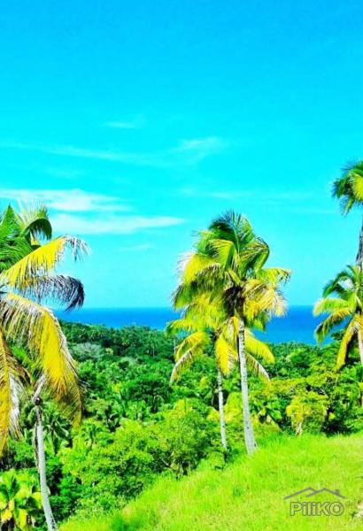 Residential Lot for sale in Manukan - image 9