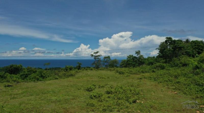 Residential Lot for sale in Lazi - image 2