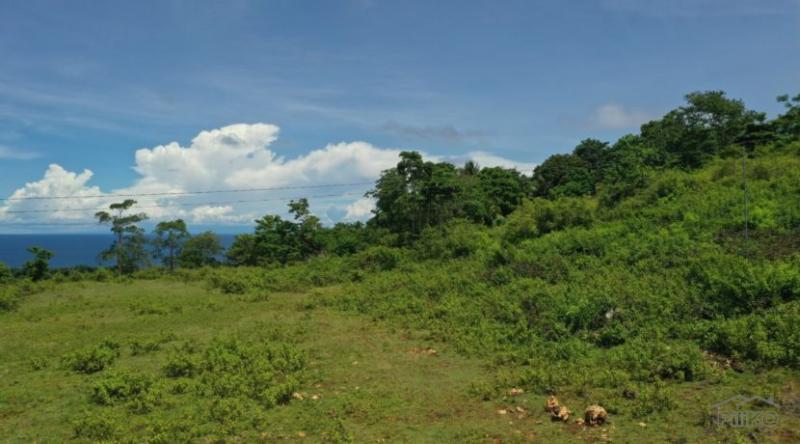Residential Lot for sale in Lazi in Siquijor