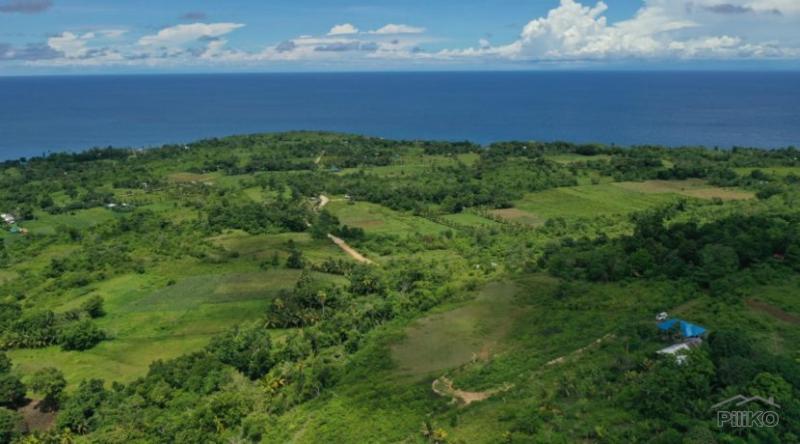 Residential Lot for sale in Lazi - image 4