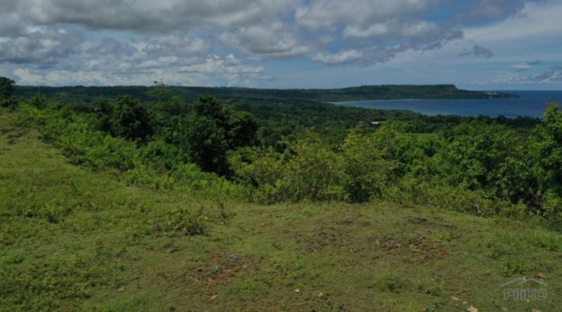 Residential Lot for sale in Lazi - image 5