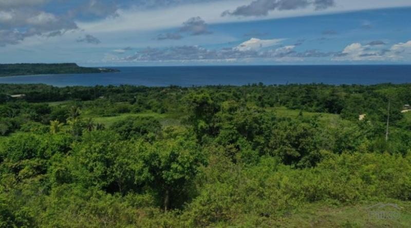 Picture of Residential Lot for sale in Lazi in Philippines