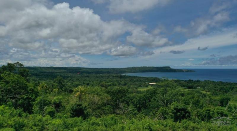 Residential Lot for sale in Lazi - image 7