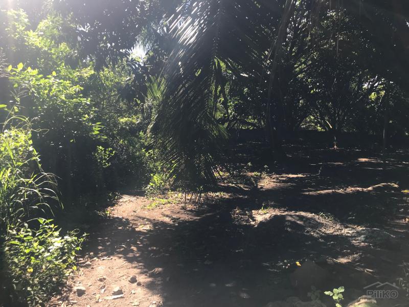 Residential Lot for sale in Dauin