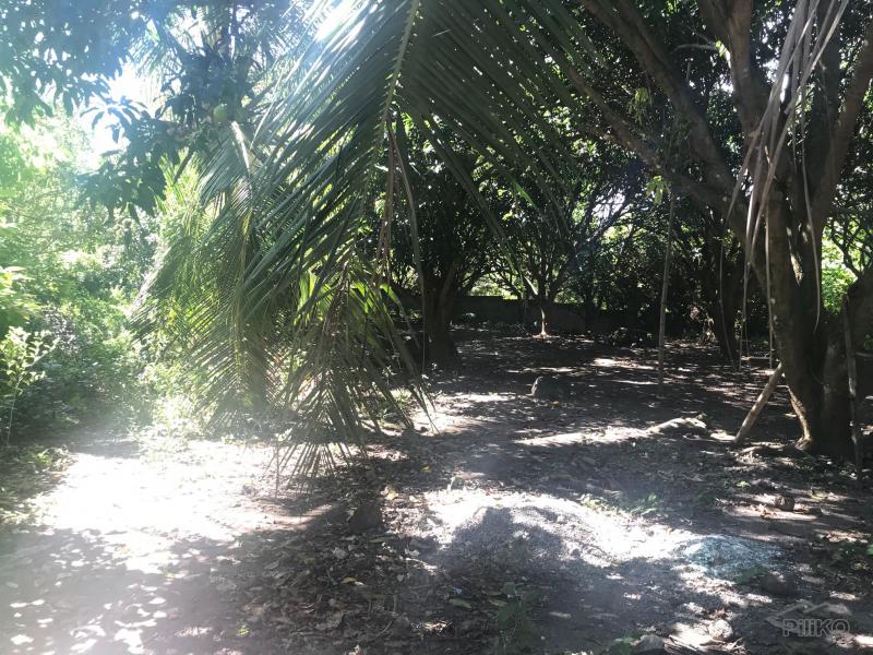 Residential Lot for sale in Dauin in Negros Oriental