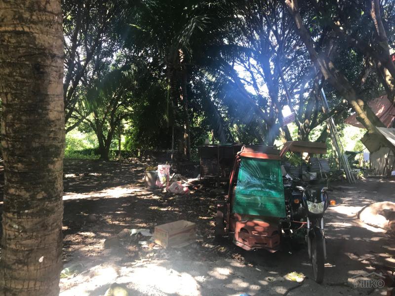 Residential Lot for sale in Dauin in Philippines